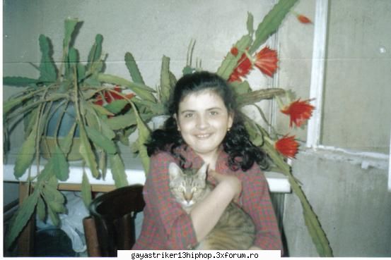 cik yo!nu va fetzitza poze cu colejii